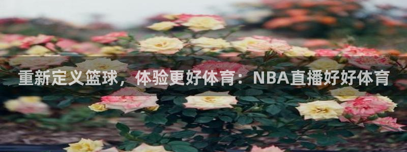 24直播体育免费直播：重新定义篮球，体验更好体育：NBA直播好好体育