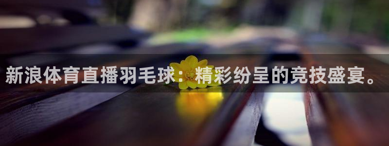 24直播吧nba在线直播：新浪体育直播羽毛球：精彩纷呈的竞技盛宴。