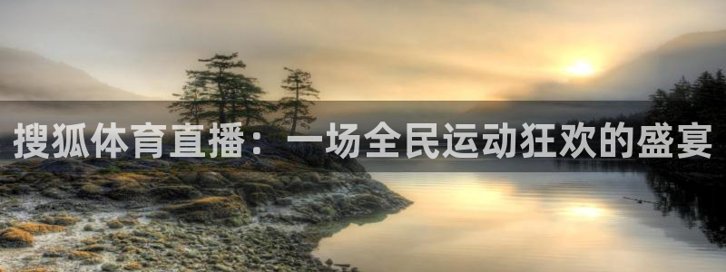24直播吧：搜狐体育直播：一场全民运动狂欢的盛宴
